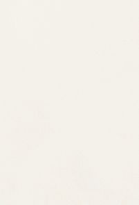 pdt-blanc